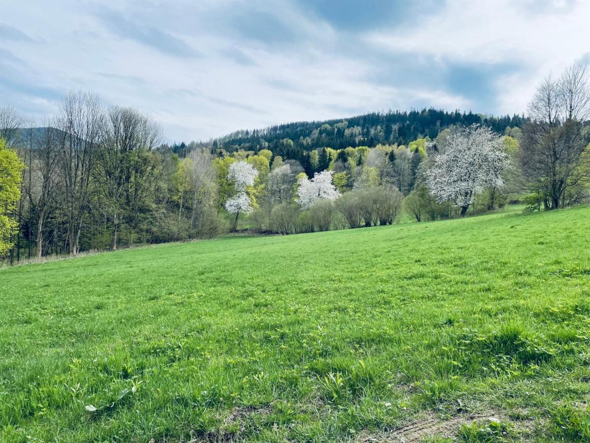 Apartmán Akacjowa 7 Stronie Śląskie Exteriér fotografie